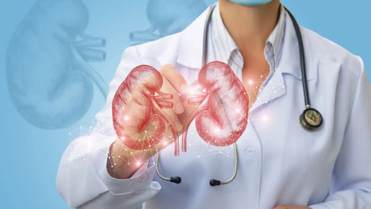 Chronic Kidney Disease - Balance 7