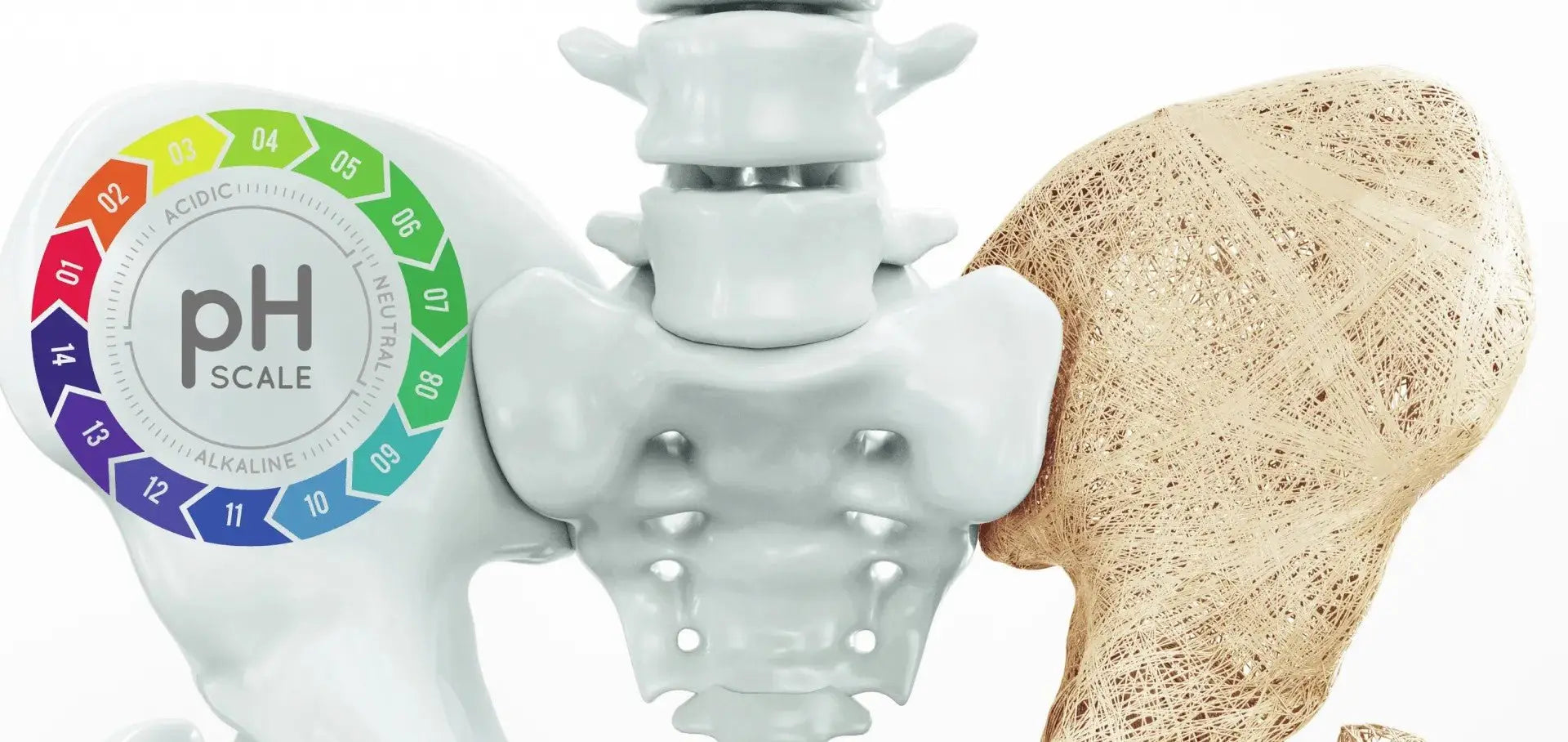 The Importance of pH Balance for Healthy Bones