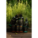 All - in - One Alkaline Pack - The Best Deal Bundle (up to 45% OFF) - Balance7 - Balance7